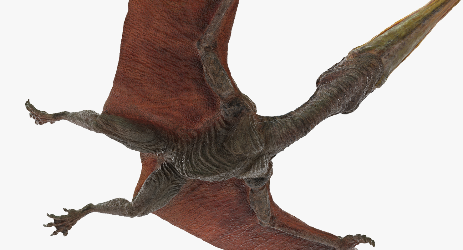 flying pteranodon