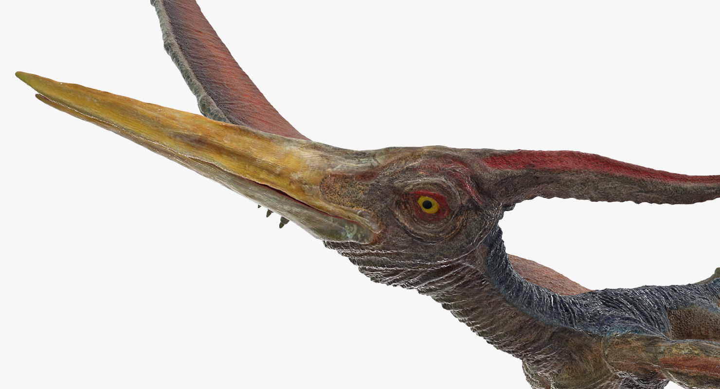 pteranodon flying