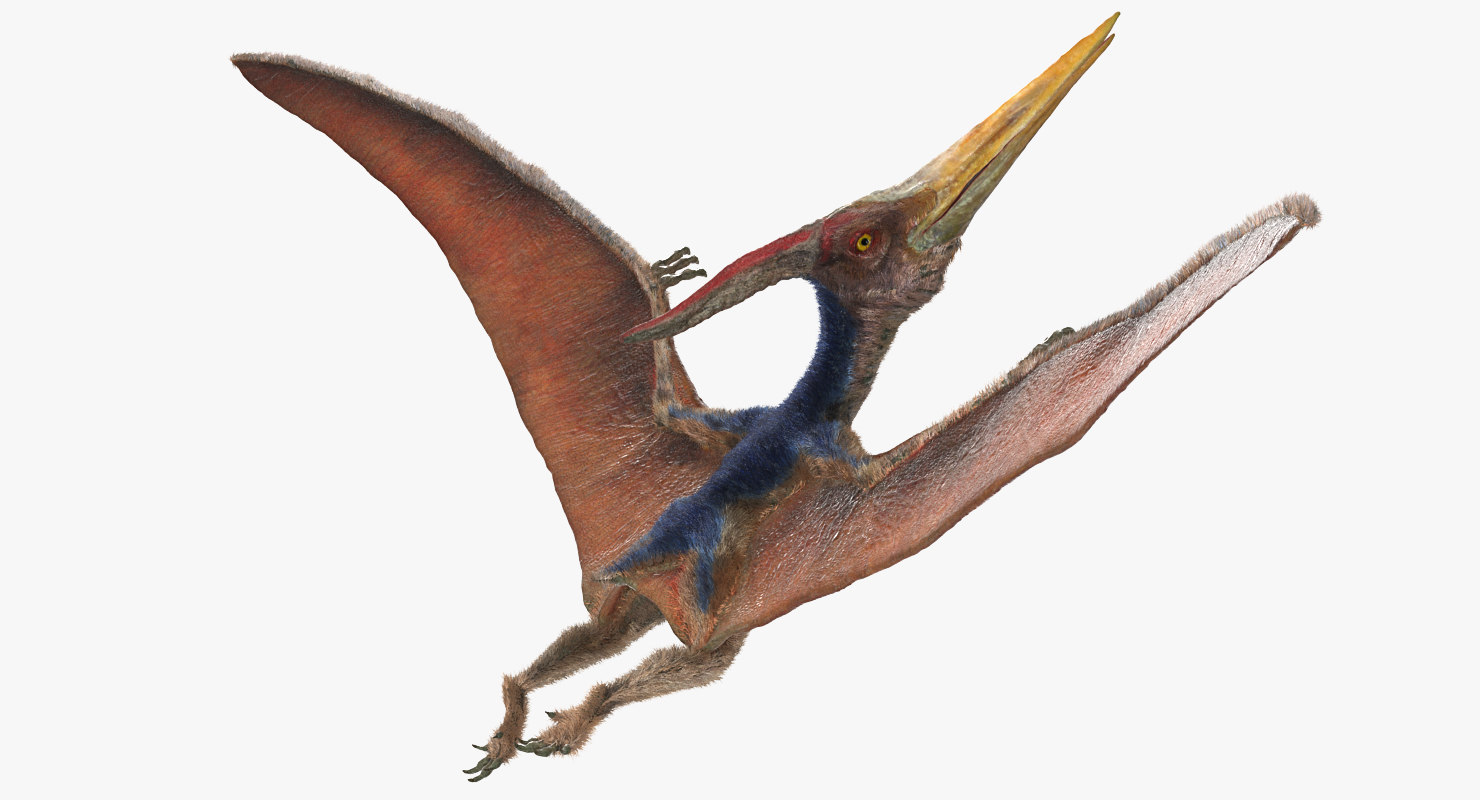 pteranodon flying