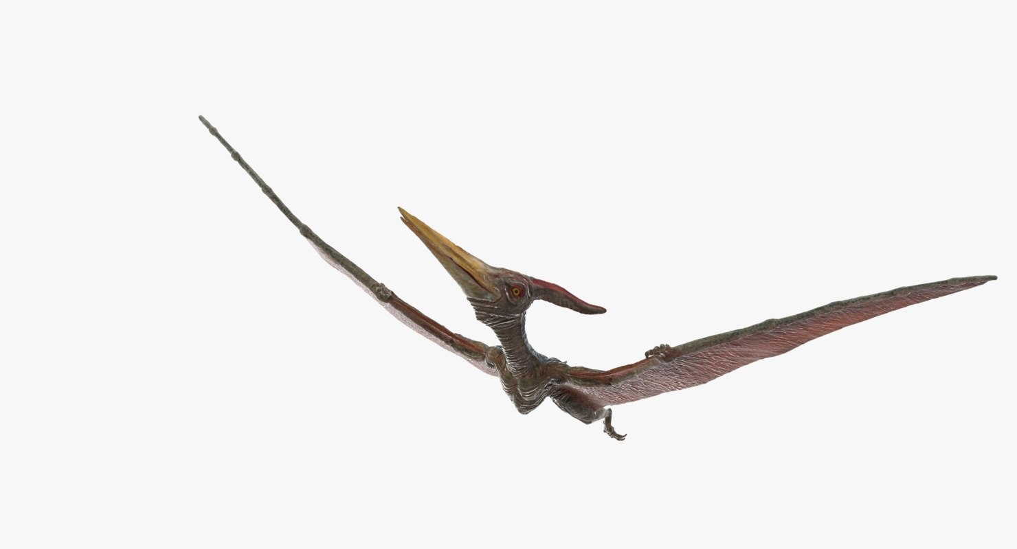 flying pteranodon