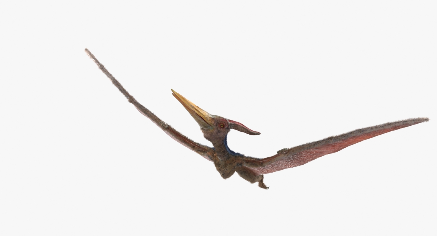 flying pteranodon