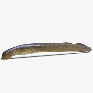 3D fish snakehead - TurboSquid 1384789