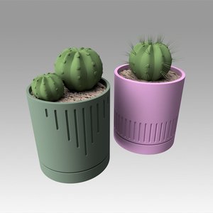 modeled cactus model