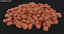 seeds kidney bean 3D