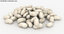 seeds kidney bean 3D
