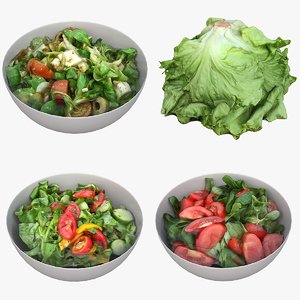 bowl salad lettuce model