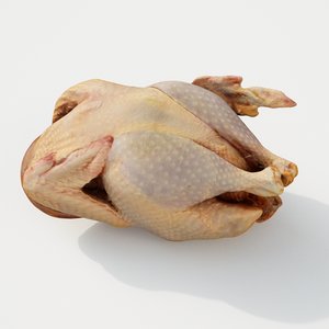 3D raw chicken model
