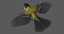 3D great tit animation