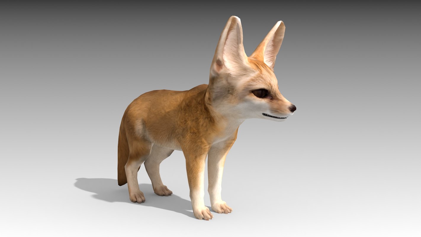 3D mammal fox model - TurboSquid 1386272