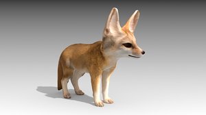 3D mammal fox model