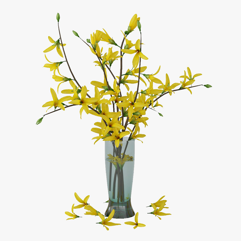 Forsythia vase 3D - TurboSquid 1386381