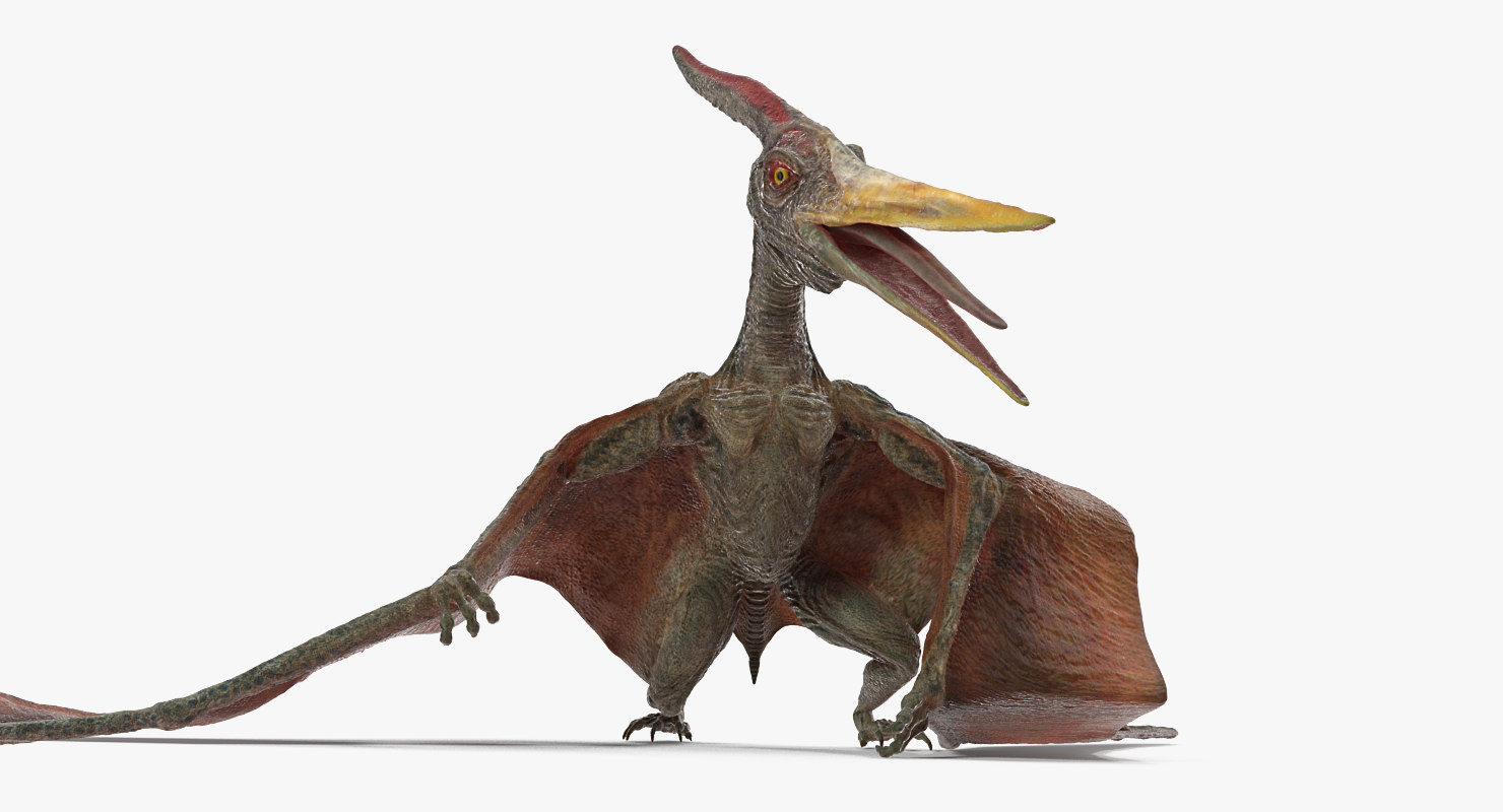 3D model pteranodon standing pose - TurboSquid 1386662