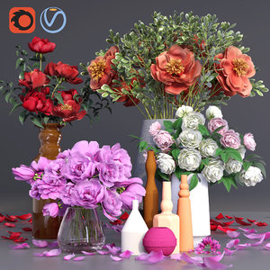 peonies vases bouquet plant flowers 3D model