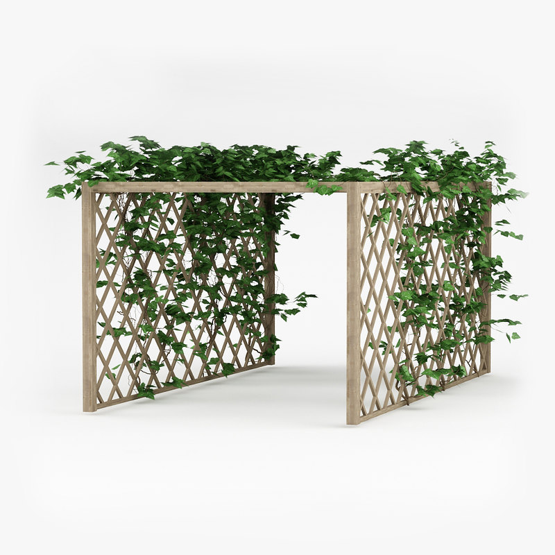 3d model pergola plant
