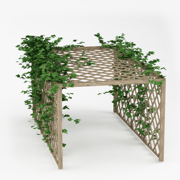 3d model pergola plant