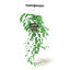 hanging plant 3D model