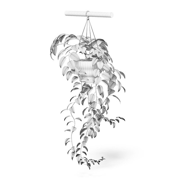 Hanging Plant 3d Model Turbosquid 1386770