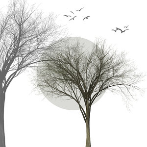 Collection of 6 trees