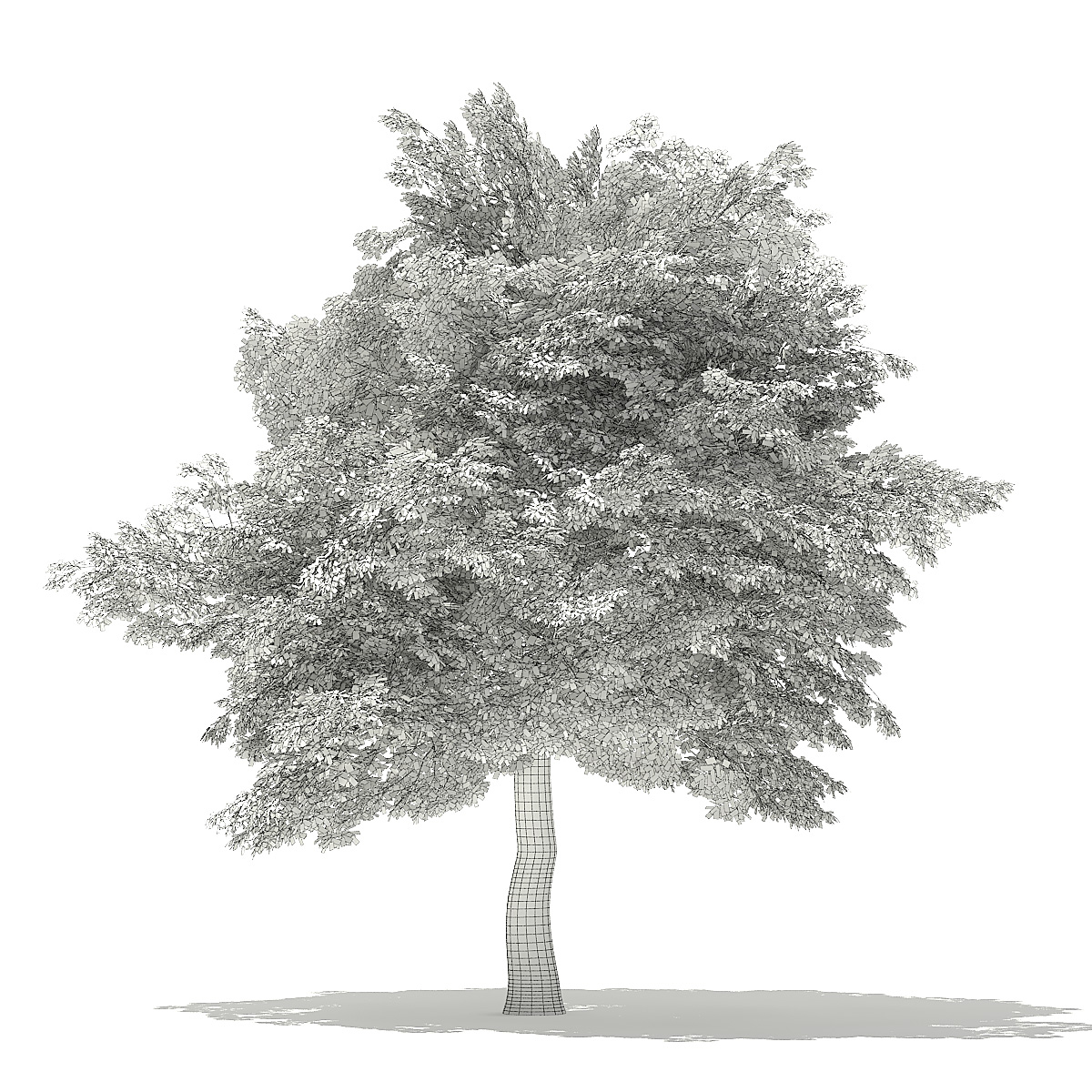 Bäume 3D-Modelle Sammlung C4D 3D-Modell - TurboSquid 1387167