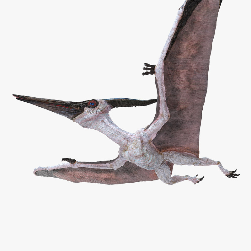 flying pteranodon