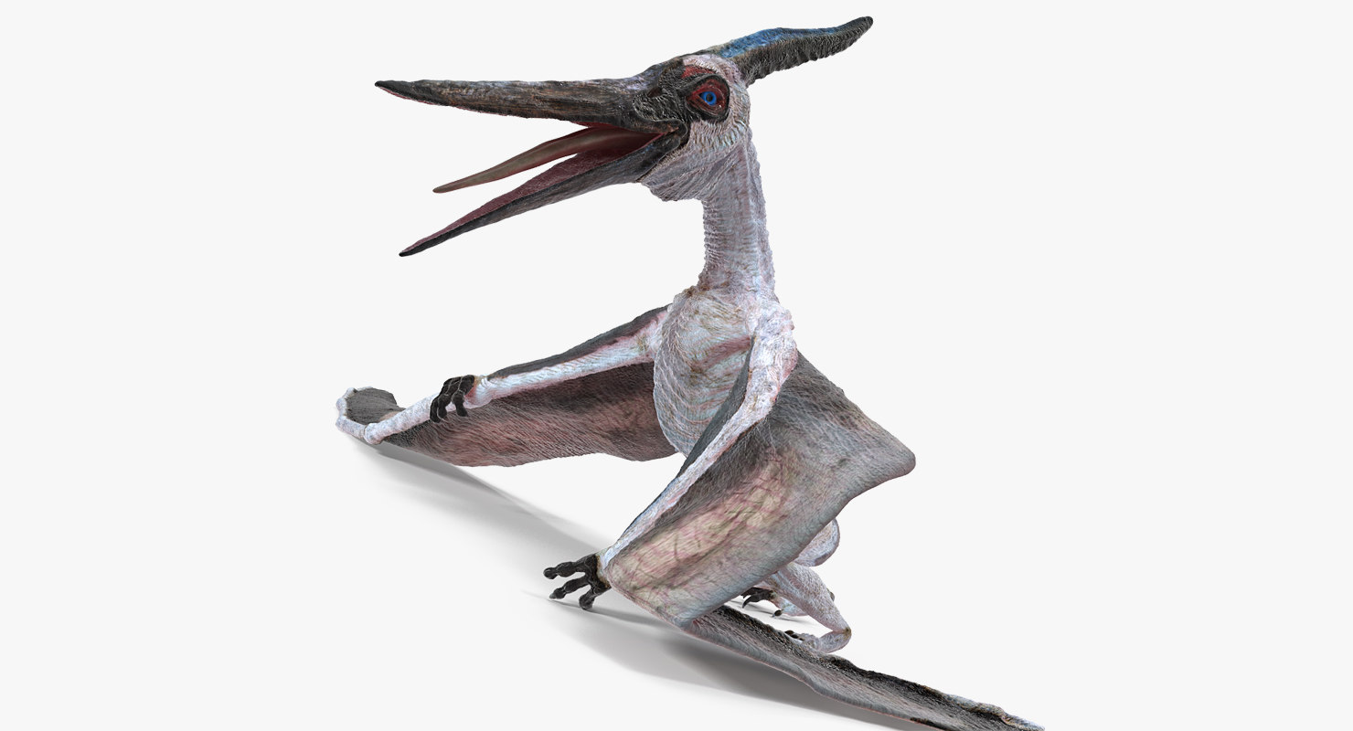 pteranodon 3d