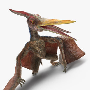 pteranodon standing pose fur 3D