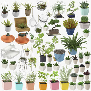indoor plants herbs - 3D model