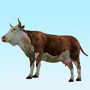3D model cow