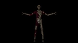 mummy corpse 3D model