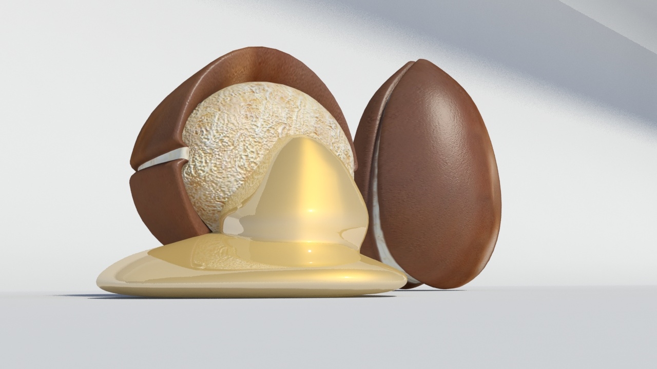 摩洛哥坚果种子3d模型