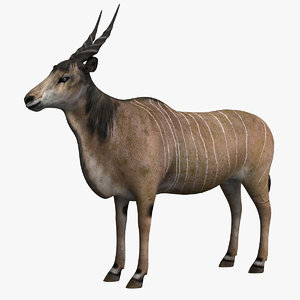 common eland model