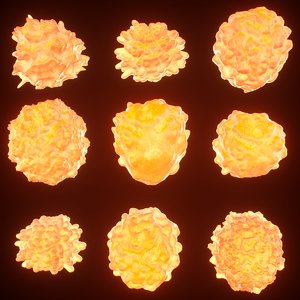 3D t lymphocytes model