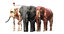 3D elephant africa