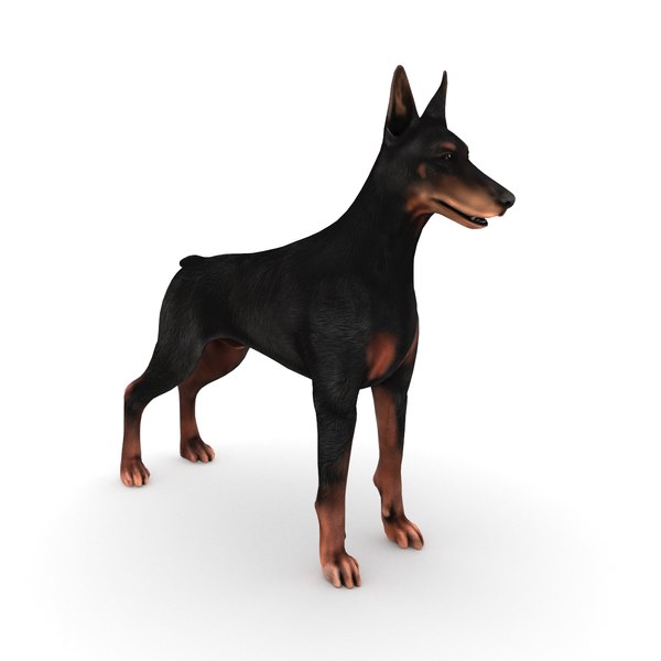 Doberman 3D Models for Download | TurboSquid