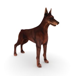 3D dobermann dog model
