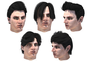 3D male hairs 5 hairstyles