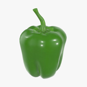 pepper green bell 3D model