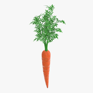 3D carrot