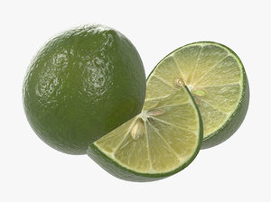 lime fruit citrus 3D model