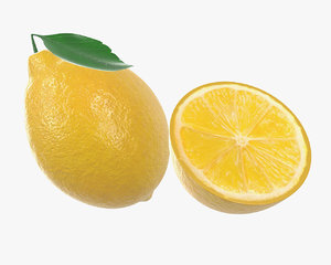 lemon leaf model