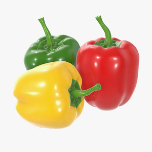 3D pepper bell model