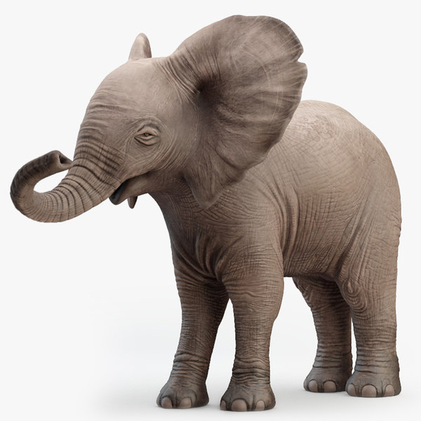 Modele 3d De Elephant Bebe Truque Turbosquid Modele 3d De Elephant Bebe Truque Turbosquid