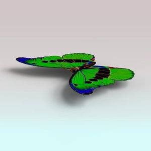 butterfly fly 3D model