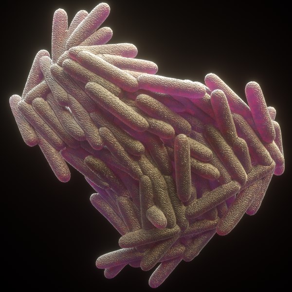 3d model mycobacterium tuberculosis