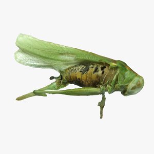 3D model scan grasshopper