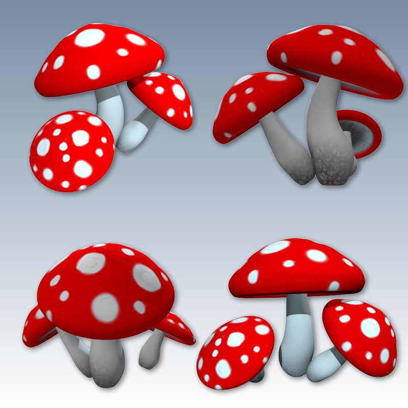 Mushroom Character 3d Model By Hhayes De47d2e Sketchf 