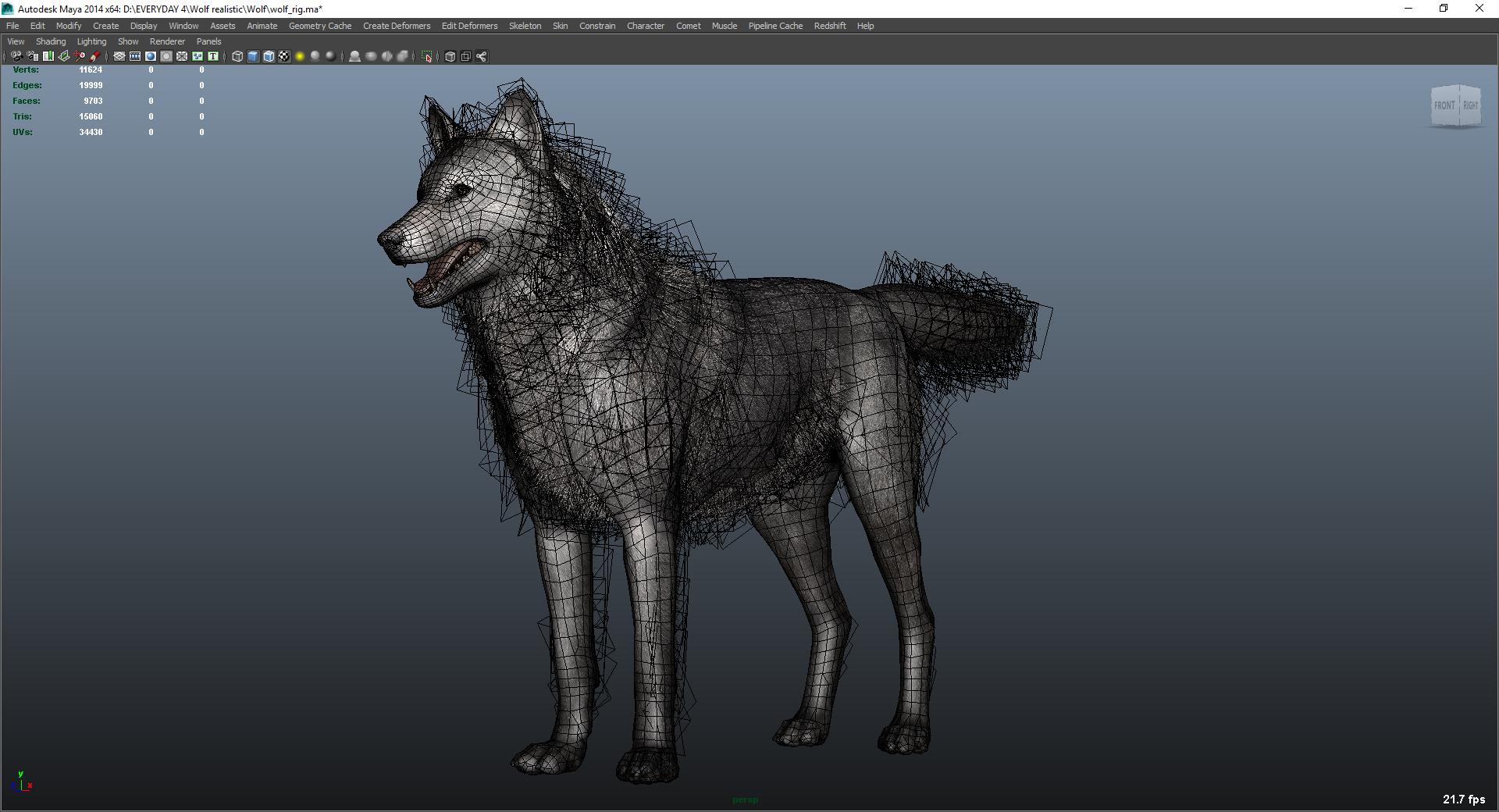 Free 3D grey wolf rig - TurboSquid 1390070