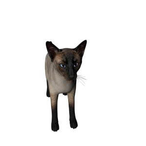 3D model siamese cat rigged