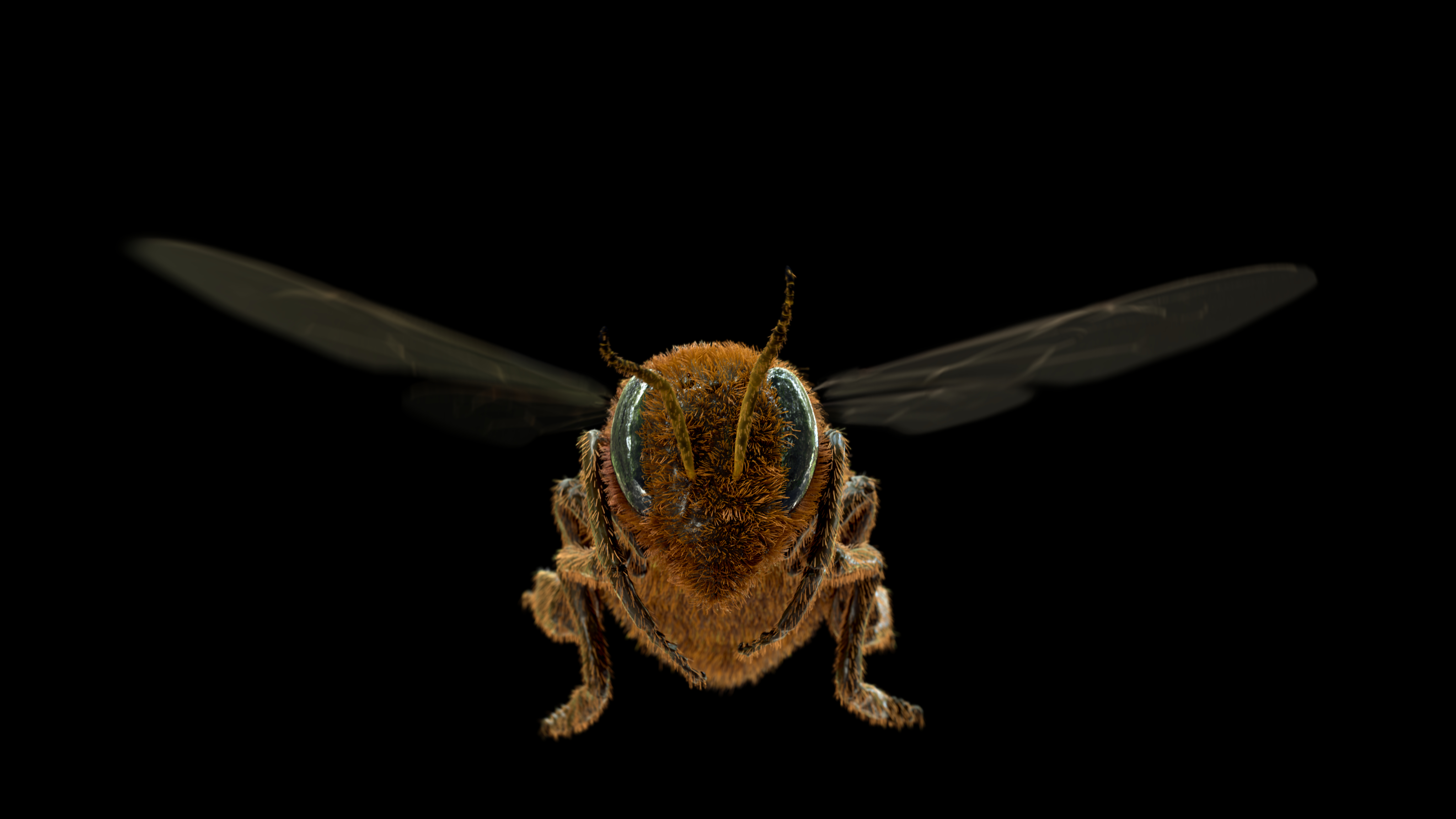 3d honeybee bee