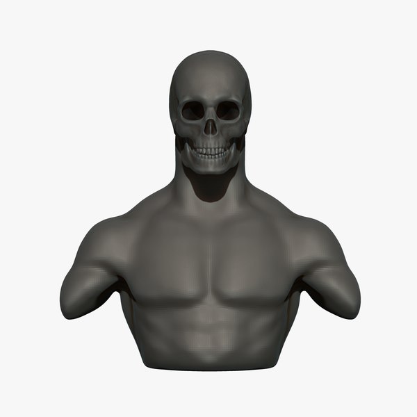 3D skull man human model